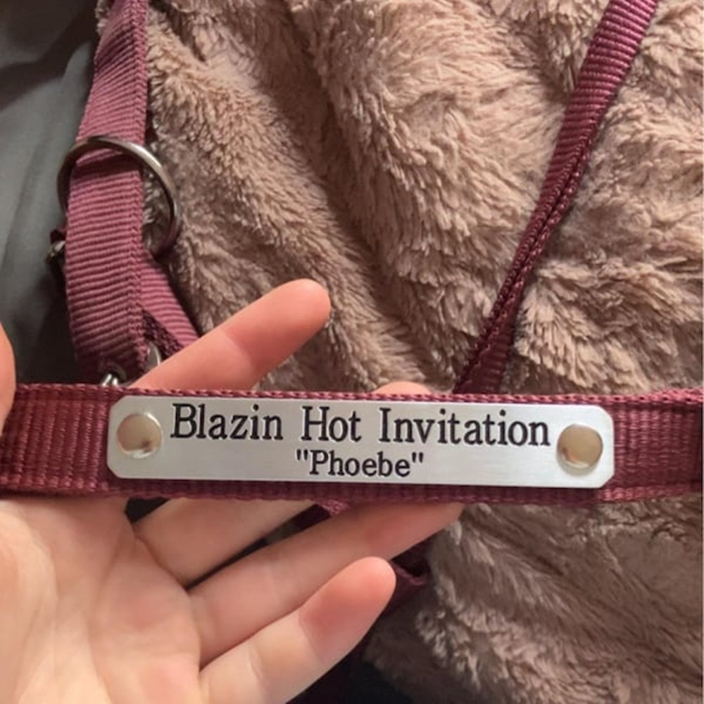 Placa de Identificación Person - Embroidery Alphabet reseña y precio